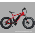 26X4.0 Fat Tire Folding Bicycle Electric Mountain Bike 48V 500W 10ah Panasoni′c Lithium Battery